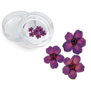 Severina, Сухоцвет для дизайна ногтей F7, фиолетовый