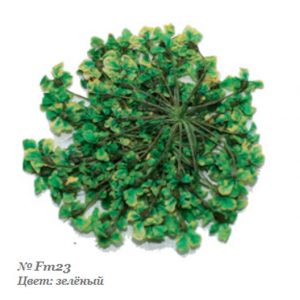 Severina, Сухоцвет для дизайна ногтей Fm23, зеленый