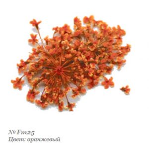 Severina, Сухоцвет для дизайна ногтей Fm25, оранжевый